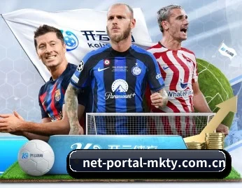 net-portal-mkty.com.cn的故事